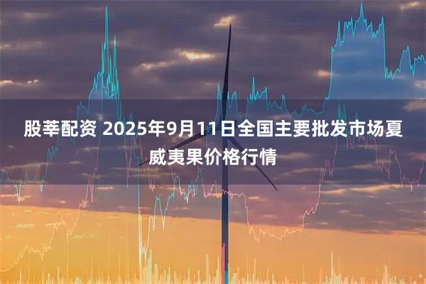 股莘配资 2025年9月11日全国主要批发市场夏威夷果价格行情