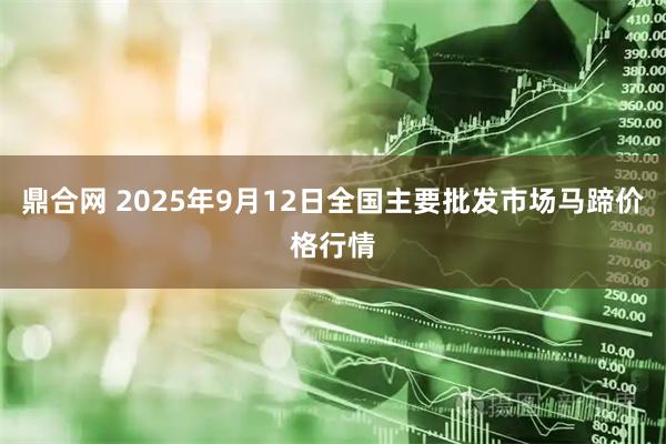 鼎合网 2025年9月12日全国主要批发市场马蹄价格行情