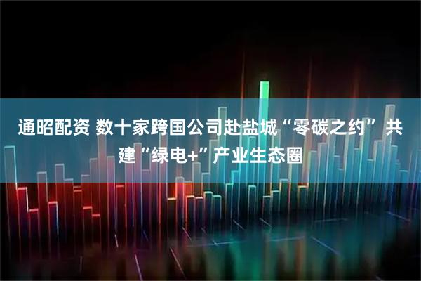 通昭配资 数十家跨国公司赴盐城“零碳之约” 共建“绿电+”产业生态圈
