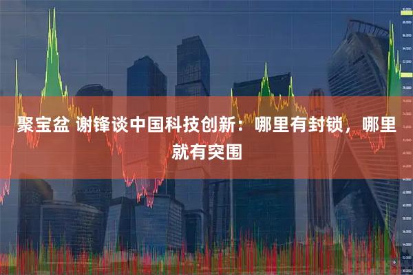聚宝盆 谢锋谈中国科技创新：哪里有封锁，哪里就有突围