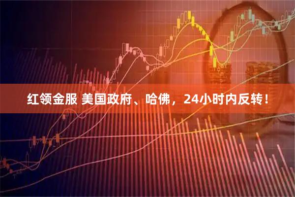 红领金服 美国政府、哈佛，24小时内反转！