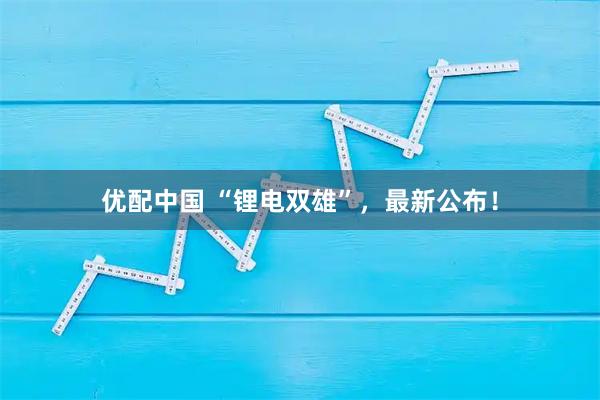 优配中国 “锂电双雄”，最新公布！