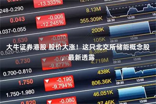 大牛证券港股 股价大涨!这只北交所储能概念股,最新透露