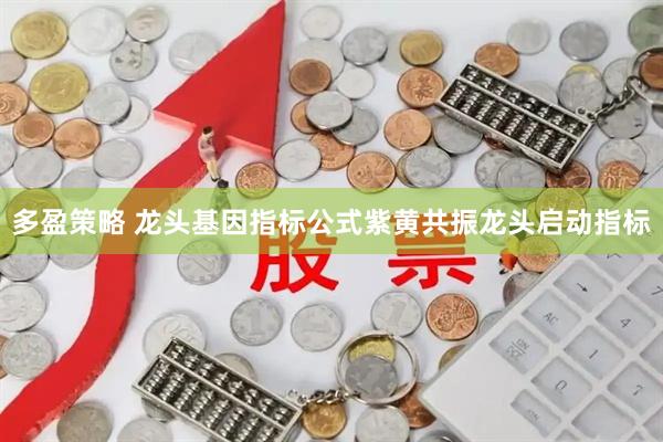 多盈策略 龙头基因指标公式紫黄共振龙头启动指标