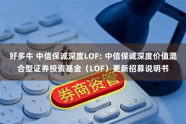 好多牛 中信保诚深度LOF: 中信保诚深度价值混合型证券投资基金(LOF)更新招募说明书