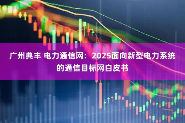广州典丰 电力通信网:2025面向新型电力系统的通信目标网白皮书